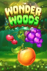 Wonder Woods