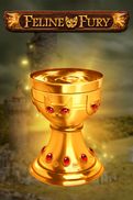 Feline Fury